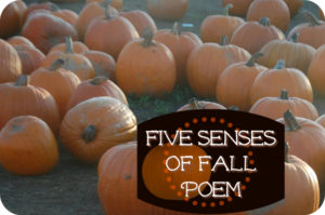 fall autumn