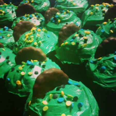 mint chocolate cupcakes