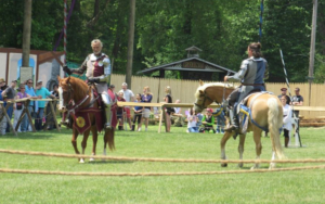 new jersey renaissance faire
