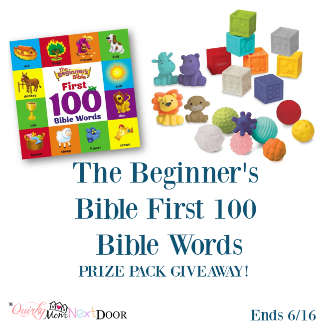 Zonderkidz The Beginner's Bible FIrst 100 Bible Words