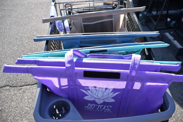 Lotus Trolley Bags are reusable grocery bags that organize your cart!