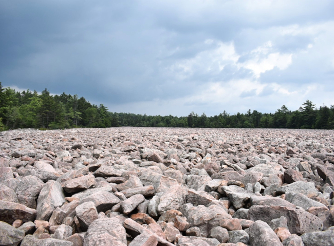 Boulder Field is an amazing sight to see at Hickory Run State Park.