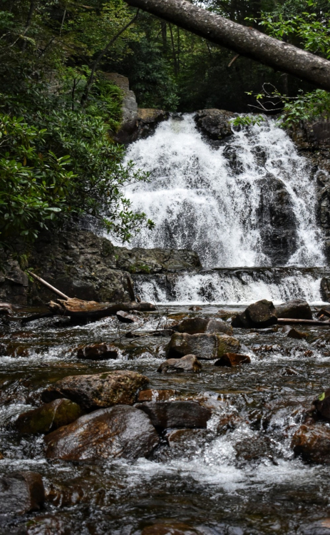 Hawk Falls are located at Hickory Run State Park, a free place to visit and swim with the family!