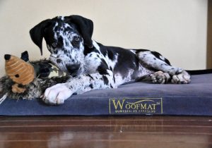 woofmat