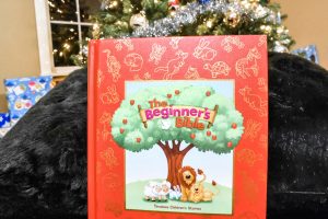 the beginner's bible