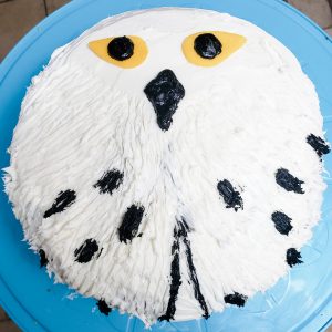 hedwig cake