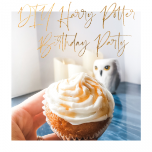 harry potter party