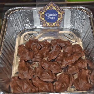 harry potter chocolate frogs