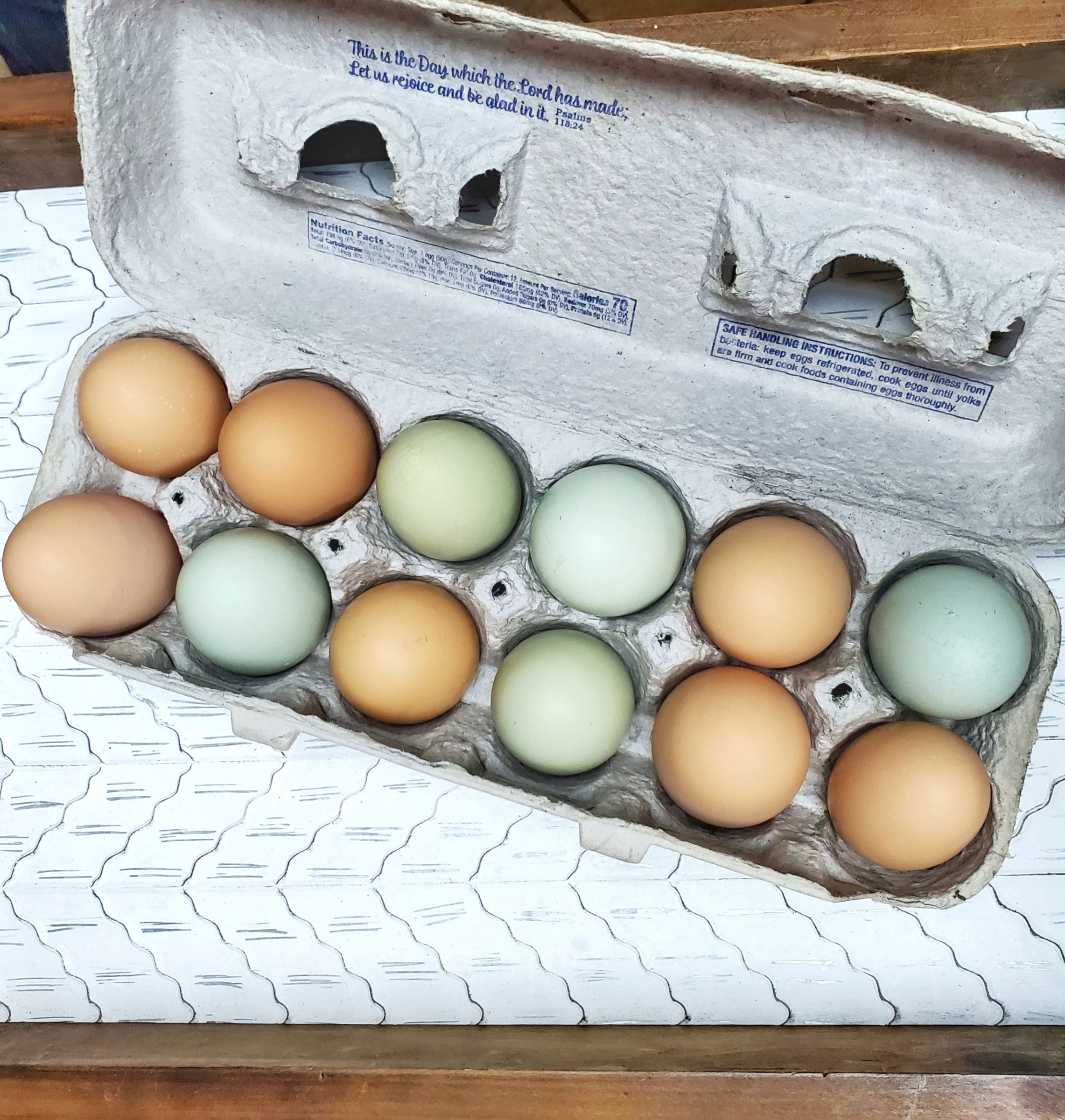 eggs homestead